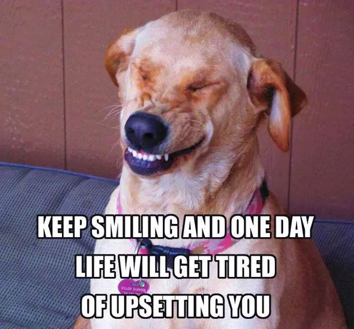 6adb204e502d9fe585e829e5a4ff563a