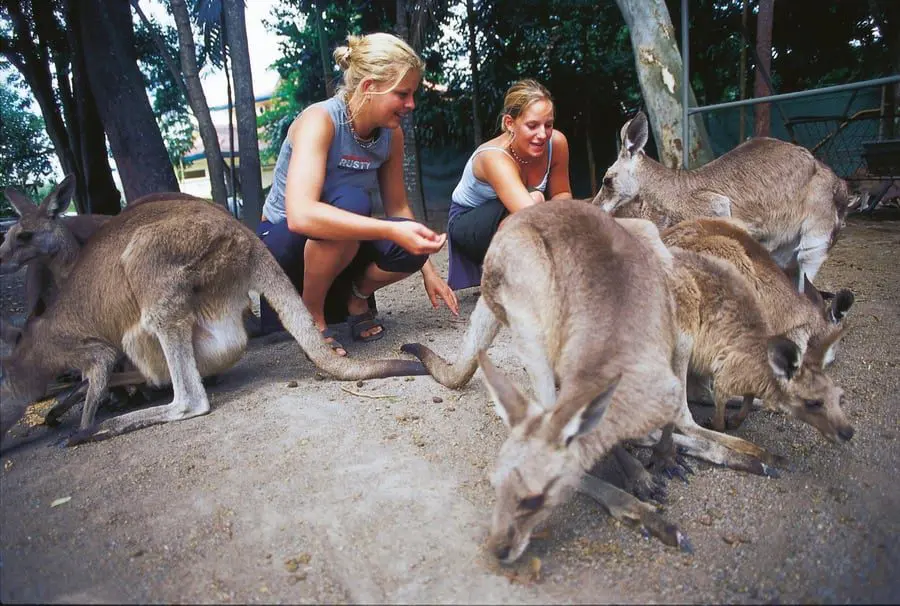 Top 5 winter escapes for families – that don’t involve the snow! 3 Cairns Tropical Zoo