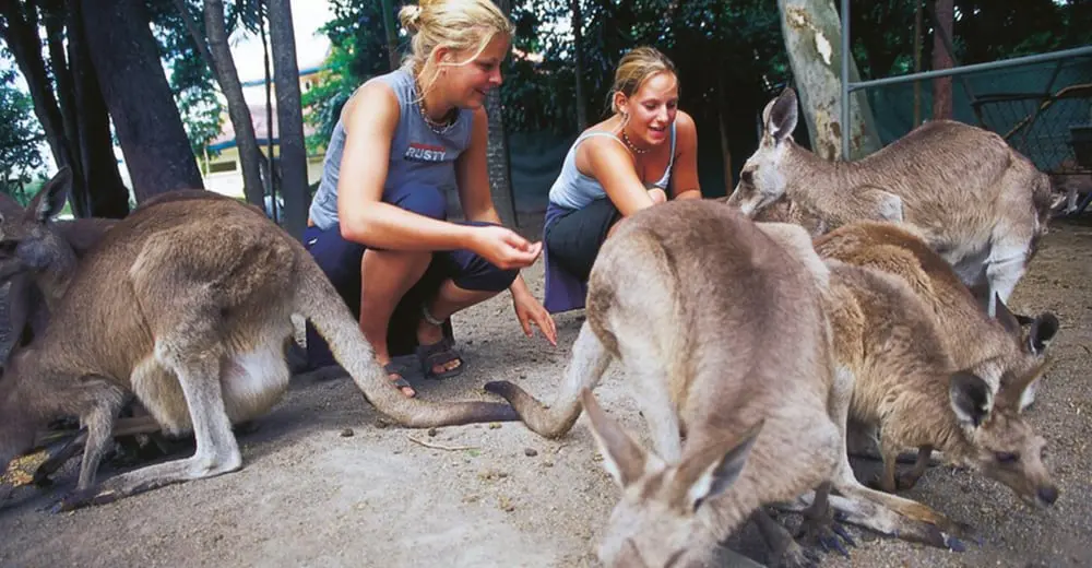 Top 5 winter escapes for families – that don’t involve the snow!