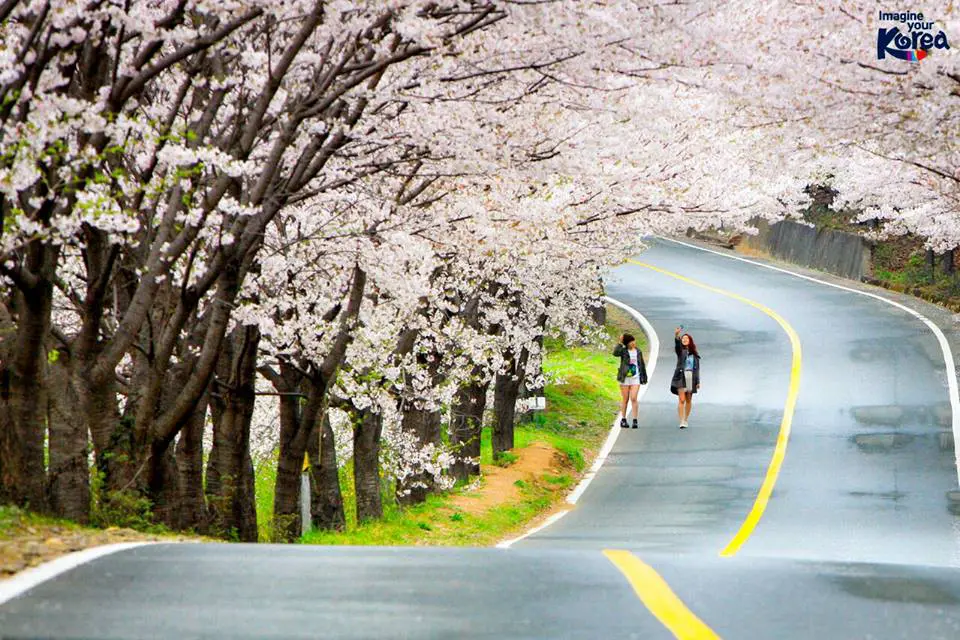The second most popular destination in the world for business travel is... 2 Image: Korea Tourism Organisation/Facebook