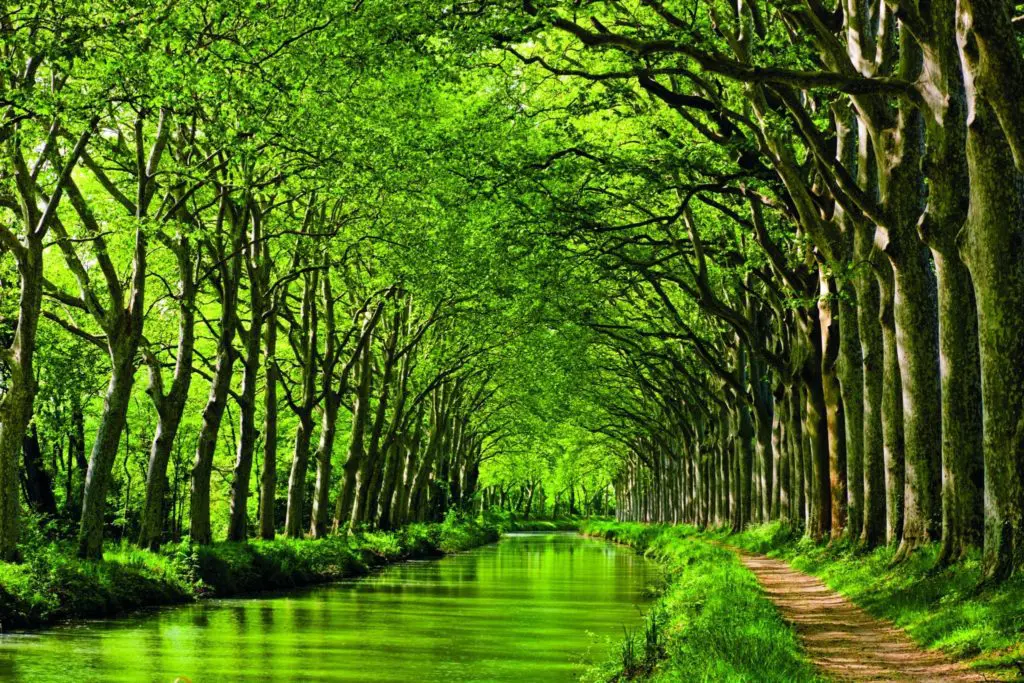Le Boat_2016_Images_Canal Du Midi