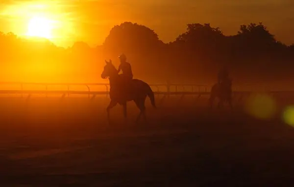 It's weird, but this is why you should think of New York State as Italy 23 Saratoga