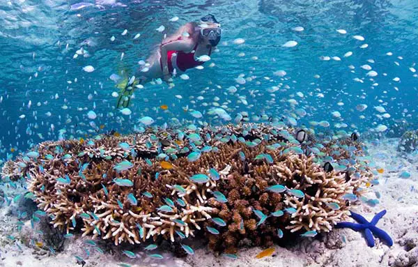 The Daily Travel Agent Bite: Mon 4 Jul 33 Travel Agent Wonderful Indonesia