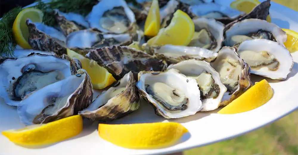 Australia’s amazing comeback story