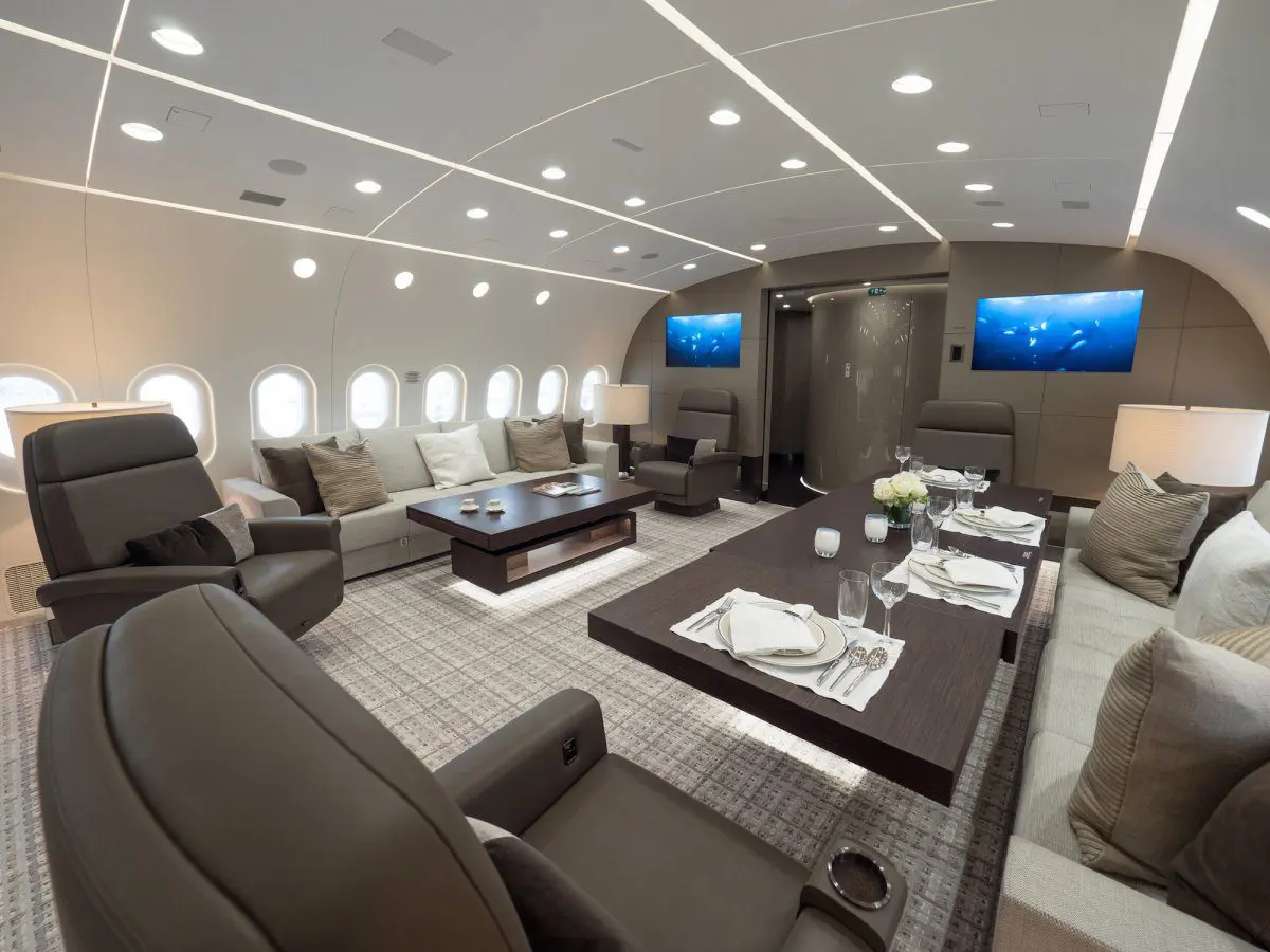 This fully customised Dreamliner is like a five-star hotel in the sky 4 image-5