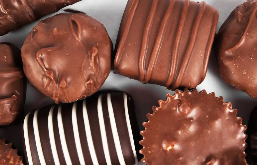The world's best chocolate destinations