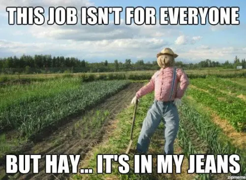 tumblr_navo82bOhk1sd38wyo1_500