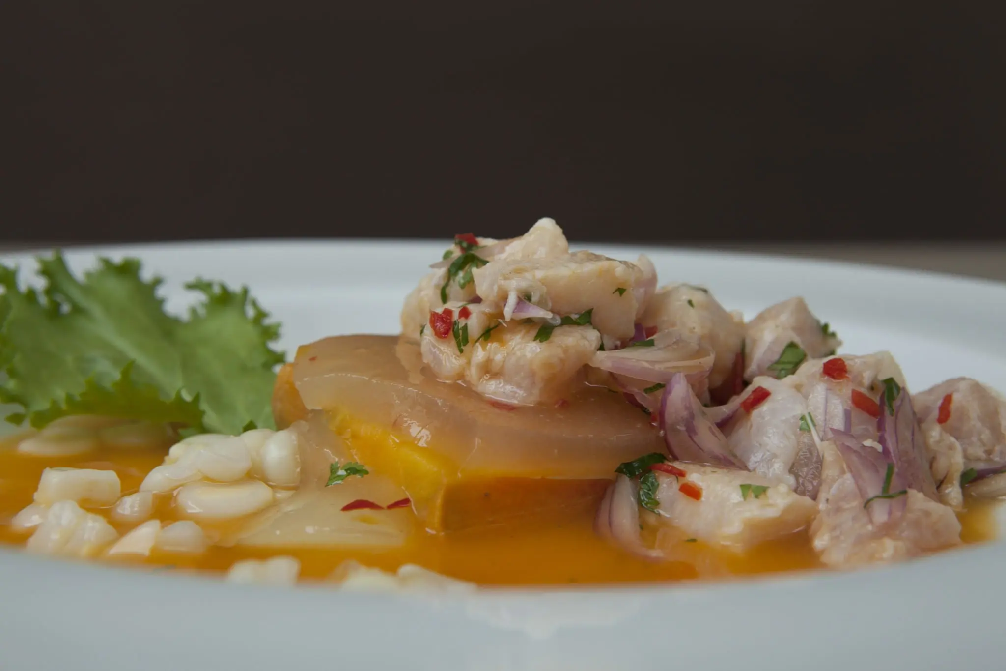 From Copacabana to Cusco – 5 reasons why your clients should make the Olympic leap to Peru 3 Ceviche. Image Credit: PromPeru Gihan Tubbeh