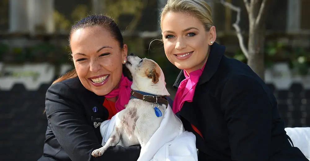 Every time you board a plane, you're probably flying with one these...