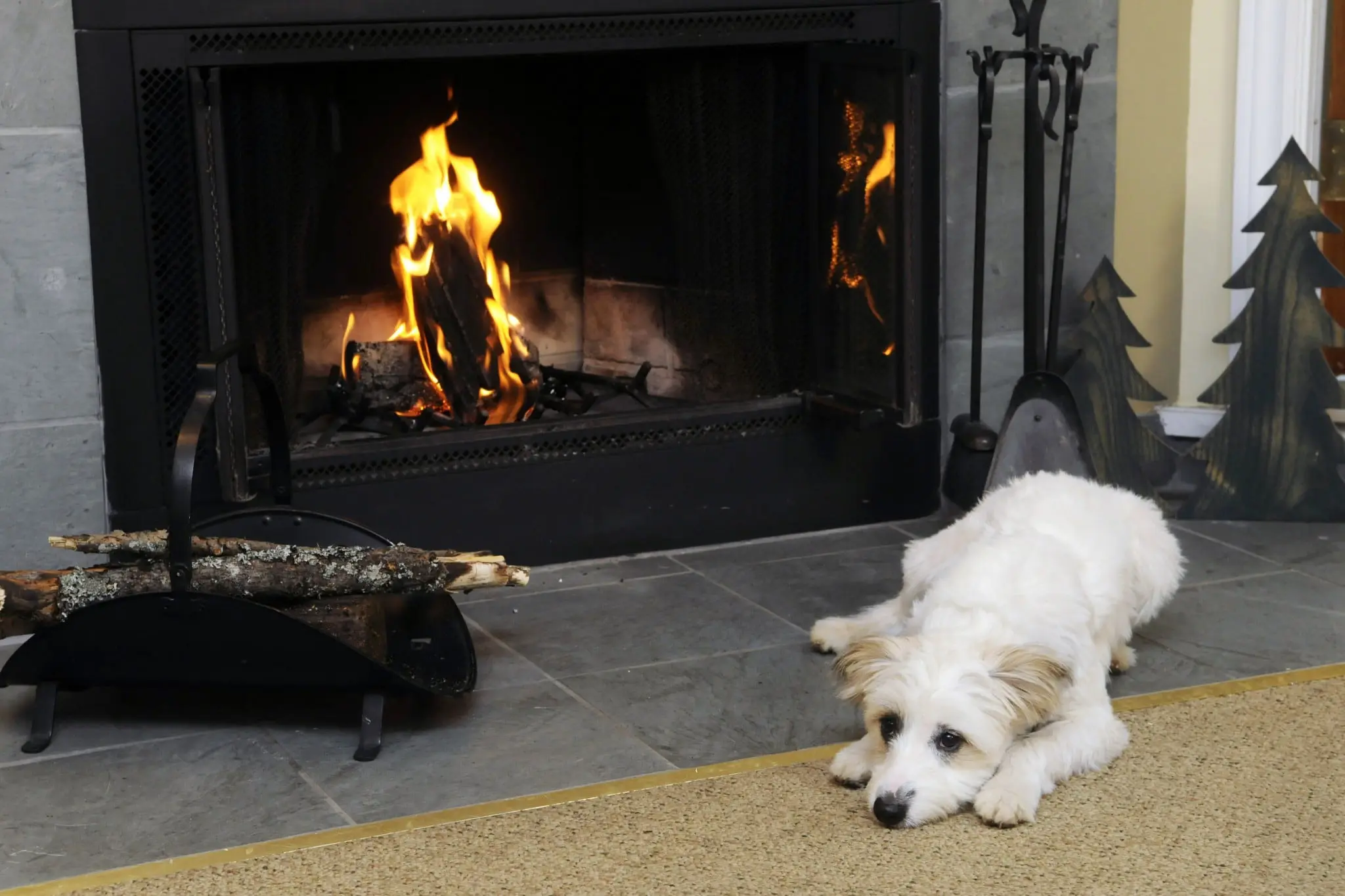 Let’s celebrate National Dog Day with these fabulous pet friendly stays 20 Rocky Crest Golf Resort