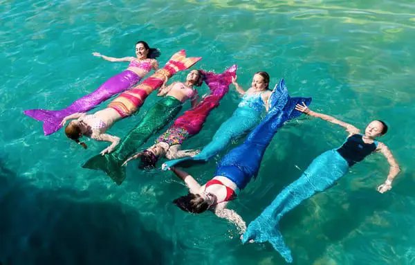 10 of the quirkiest tours & attractions Agents can book their clients 33 mermaid-rezdy