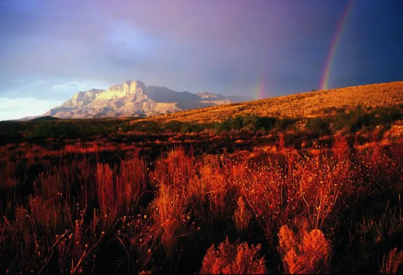 Travel Agent texas-tourism