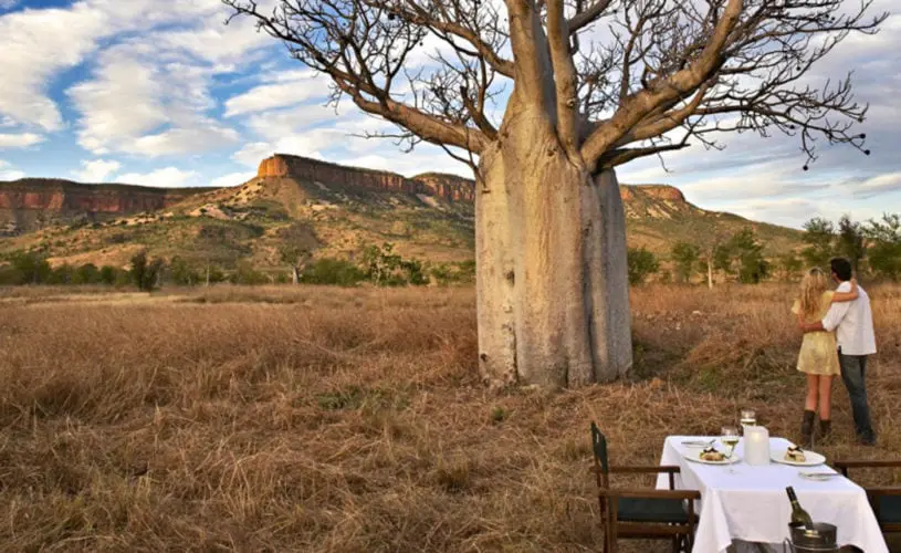 el-questro-homestead_the-kimberley_-boab-dining-2-815x500