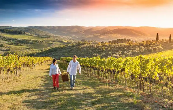 Discover the USA: 5 amazing landscapes your clients will see with APT 20 napa