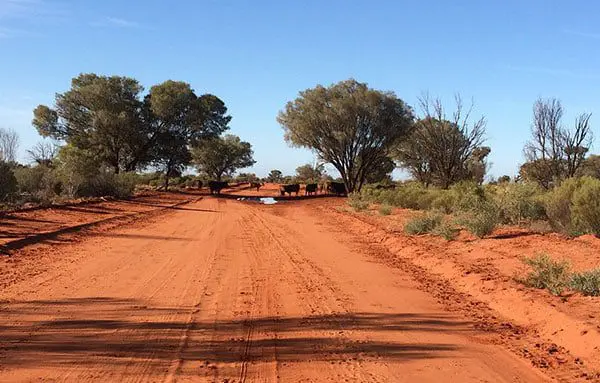 Top 5 Aussie road trips you've just gotta drive 20 aas