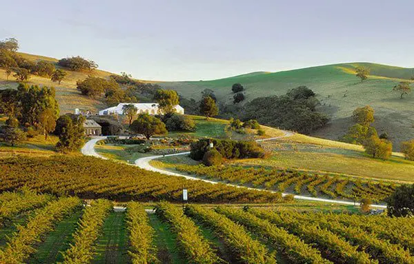 The Daily Travel Agent Bite: Wed 26 Oct 53 adelaide