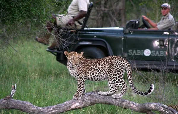 6 amazing escapes and how to get your hands on them! 27 africa