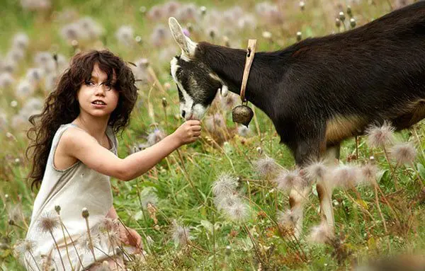 The Daily Travel Agent Bite: Tues 25 Oct 57 heidi