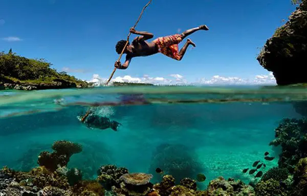 The Daily Travel Agent Bite: Fri 28 Oct 51 newcal