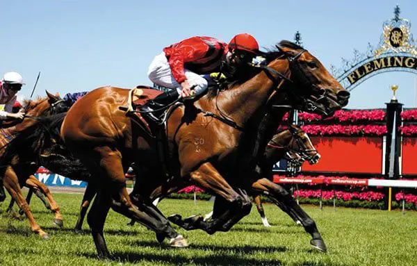 The Daily Travel Agent Bite: Tues 25 Oct 48 qan2