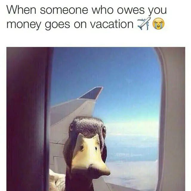 tumblr_nobnvt4wvy1tj1uzko1_1280