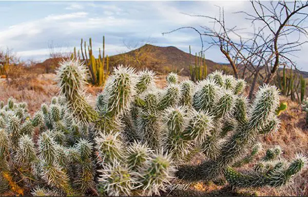 7 hidden gems in Los Cabos for you to discover 4 1