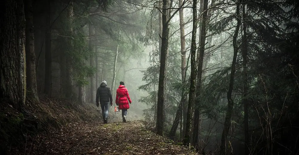 Put on your explorer hat & discover your own slice of Scandinavia