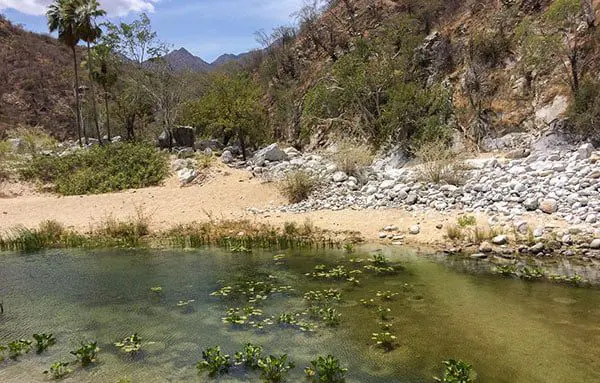 7 hidden gems in Los Cabos for you to discover 8 2