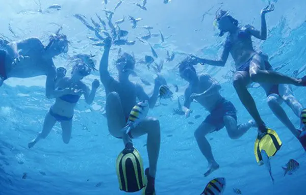 8 adventures you must experience in Los Cabos 4 Source: www.cabo-adventures.com