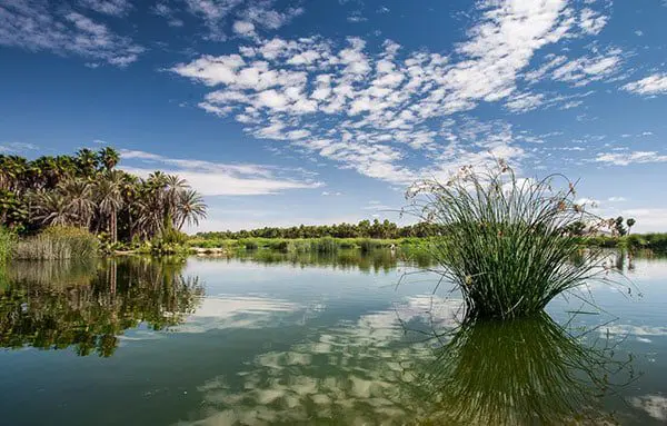 7 hidden gems in Los Cabos for you to discover 9 3