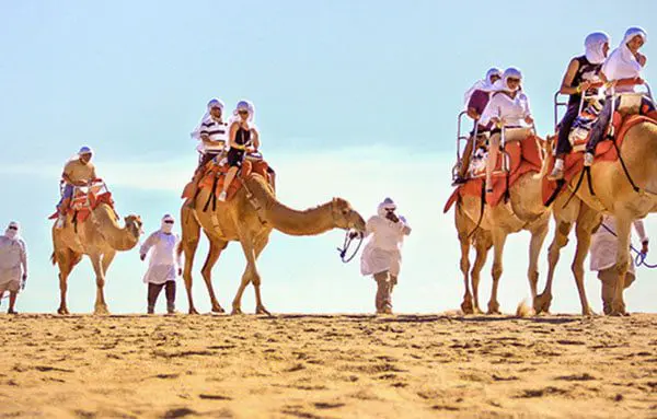 8 adventures you must experience in Los Cabos 6 4