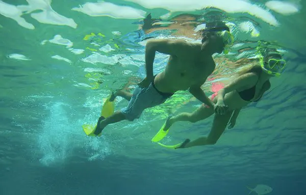 8 adventures you must experience in Los Cabos 9 7