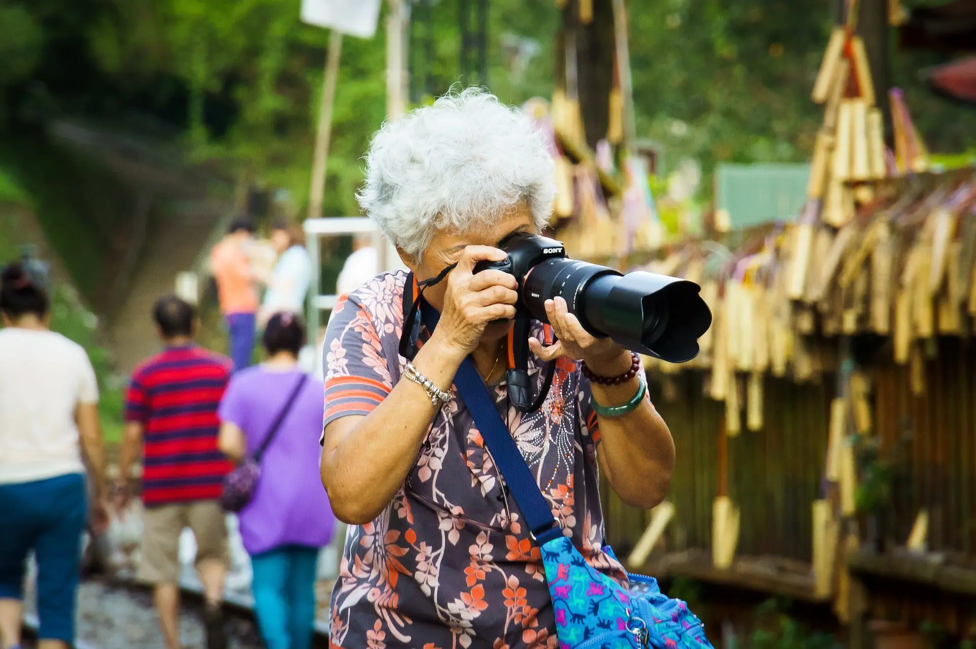 10 Useful Tips for Travelling with Your Elderly Parents 16 activities