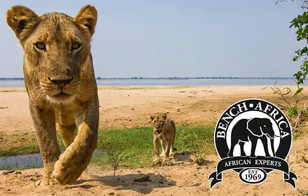 The Daily Travel Agent Bites: Wed 30 Nov 38 bench-africa