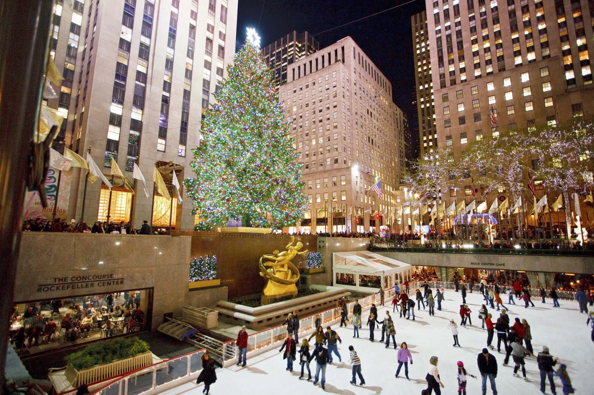 thetreeatrockefellercenter_willsteacy_25