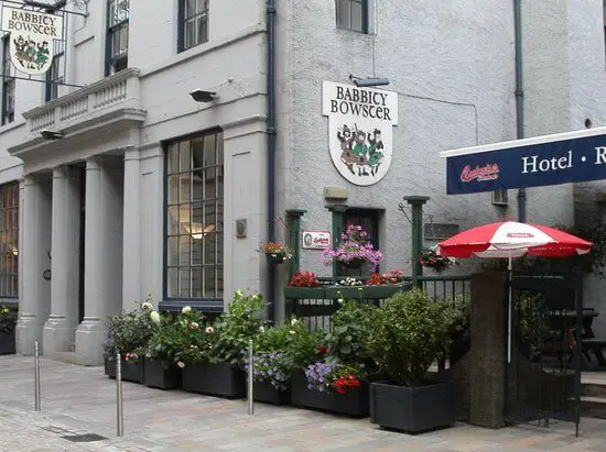 front-view-of-babbity