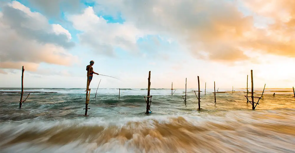 The Daily Travel Agent Bites: Mon 28 Nov 42 Travel Agent hero