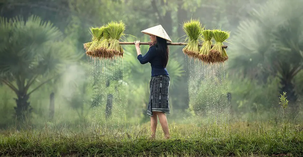 8 experiences you can only have in Asia with Wendy Wu Tours