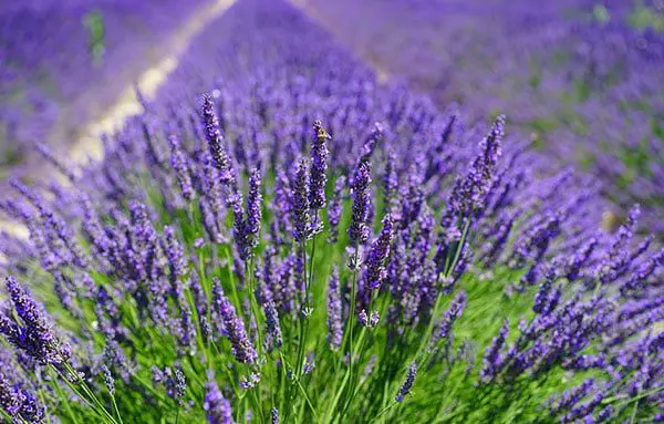 5 holiday experiences in Australia calling your name 23 lav