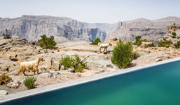 Heaven's been found at The Anantara Al Jabal Al Akhdar Resort, Oman 19 oman-anantara-karryon5