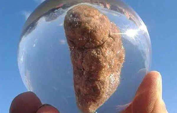 Source: www.poomuseum.org