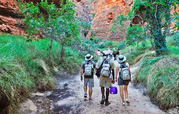 The Daily Travel Agent Bites: Wed 16 Nov 46 s1