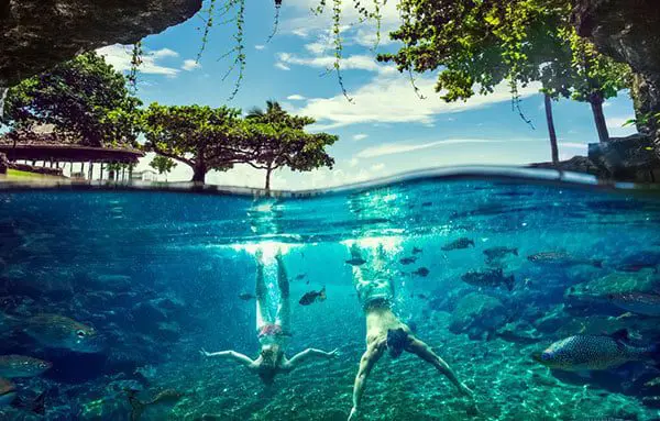 The Daily Travel Agent Bites: Mon 21 Nov 46 samoa