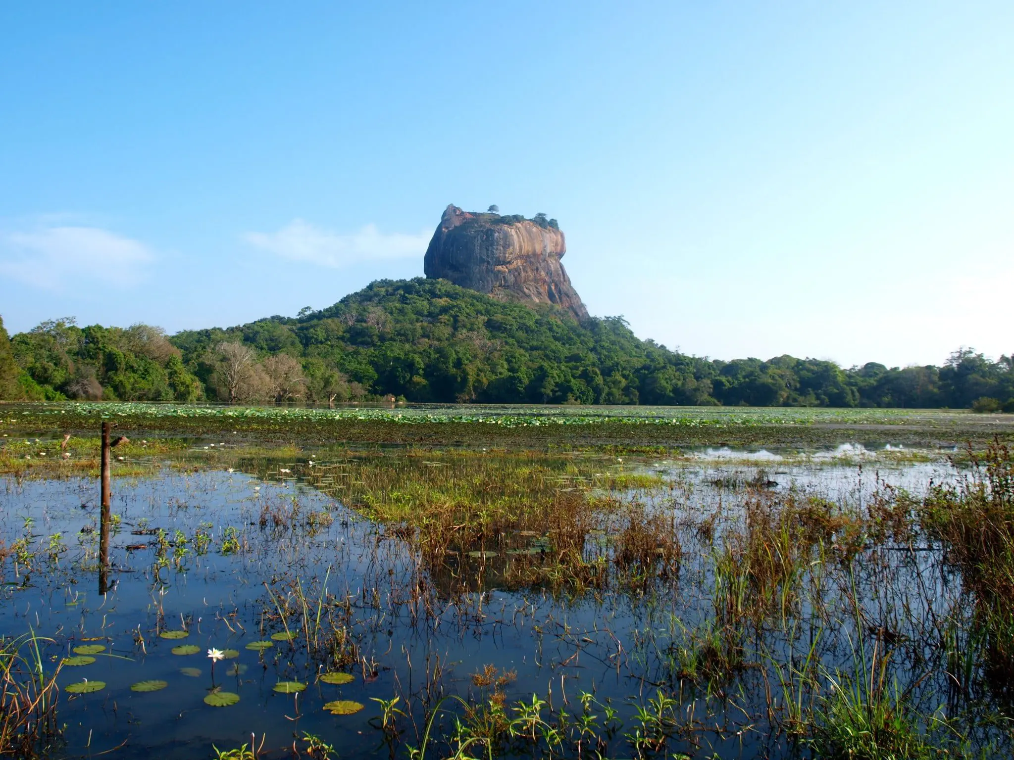 The Daily Travel Agent Bites: Mon 7 Nov 40 sigiriya-rock-fortress-lion-rock