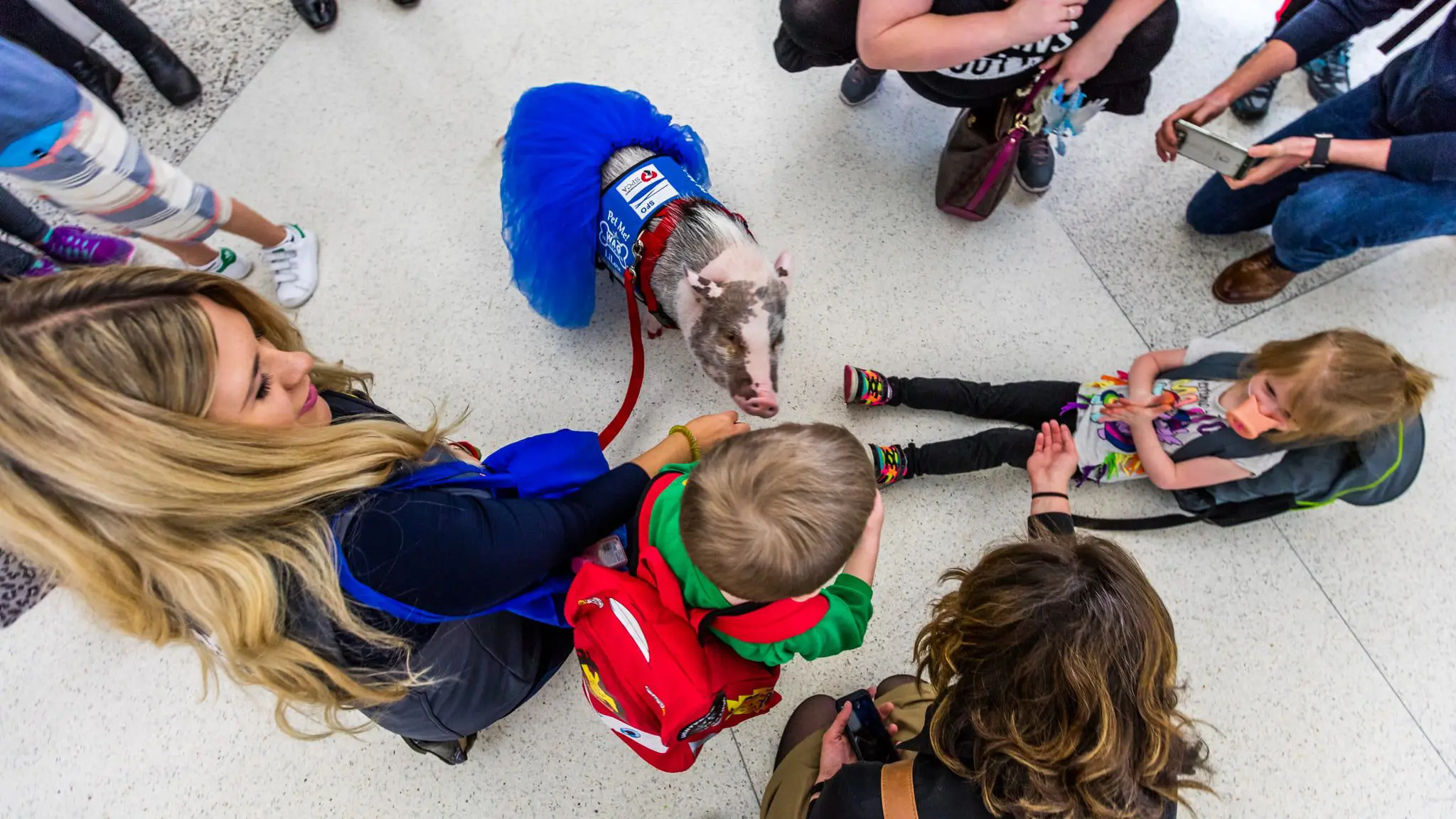 What a pig! Find out why a hog with wings is walking around San Fran Airport 12 lilou-airport-event-13