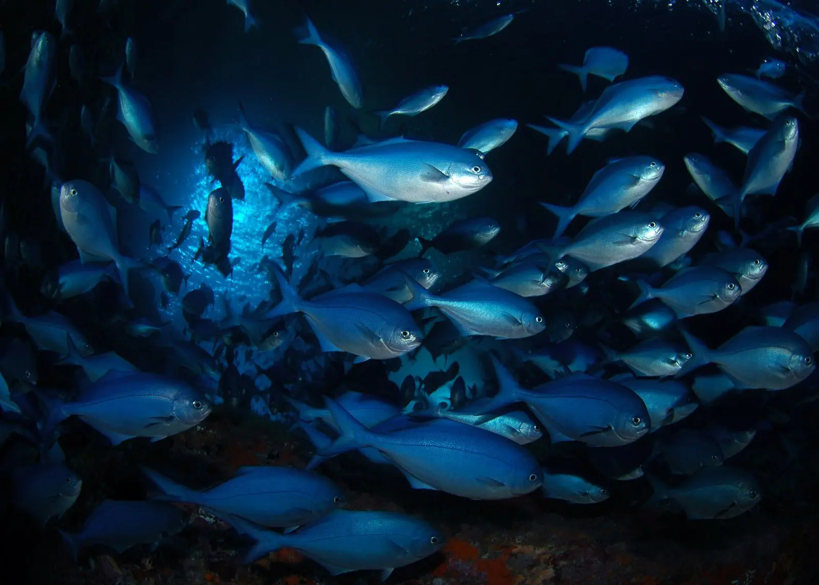 Top 10 Places to Visit in 2017 40 diving-poor-knight