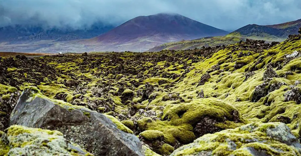 I hated Iceland and here are 5 reasons why