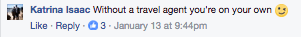 Here's what other Travel Agents had to say about that viral video 68 Travel Agents