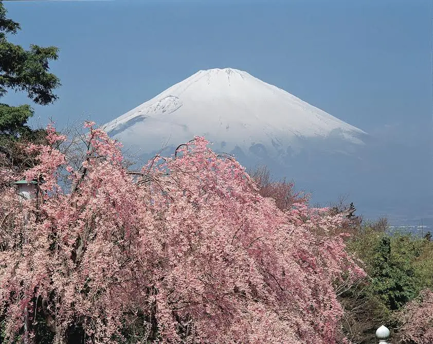 The Daily Travel Agent Bite: Tues 31 Jan 29 Image: JNTO