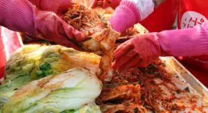 Geckos launches ‘unknown’ festival trips for millennials 18 Geckos Trips Korea